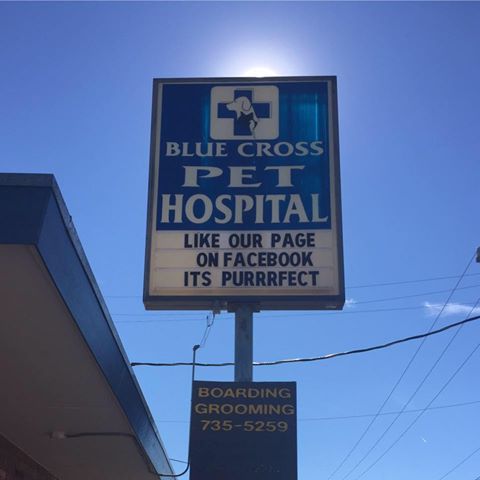 Blue Cross Pet Clinic - San Antonio , United States