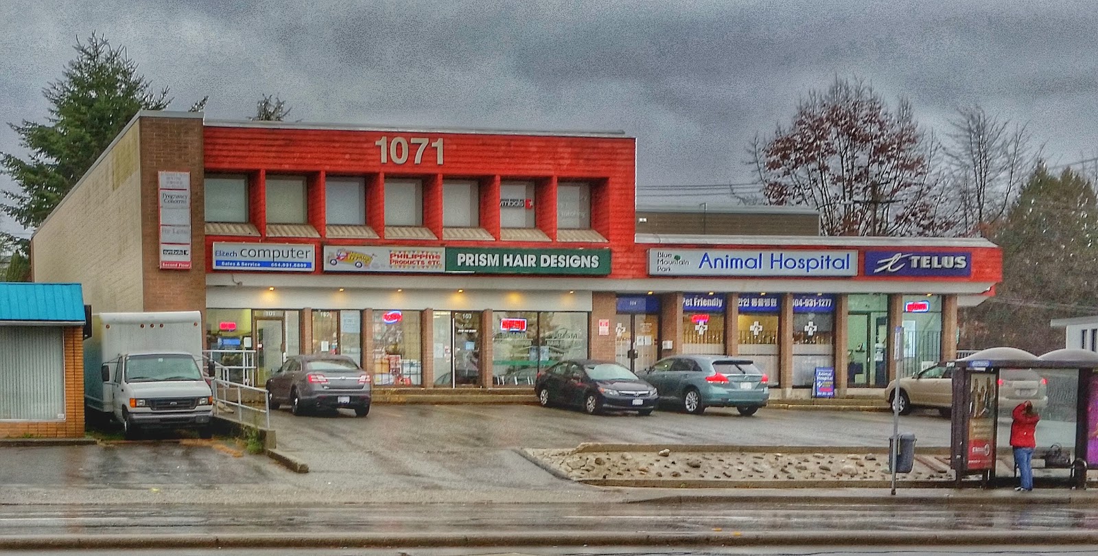 Blue Mountain Park Animal Hospital - Coquitlam , Canada