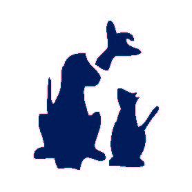 Britannia Kingsland Veterinary Clinic - Calgary , Canada
