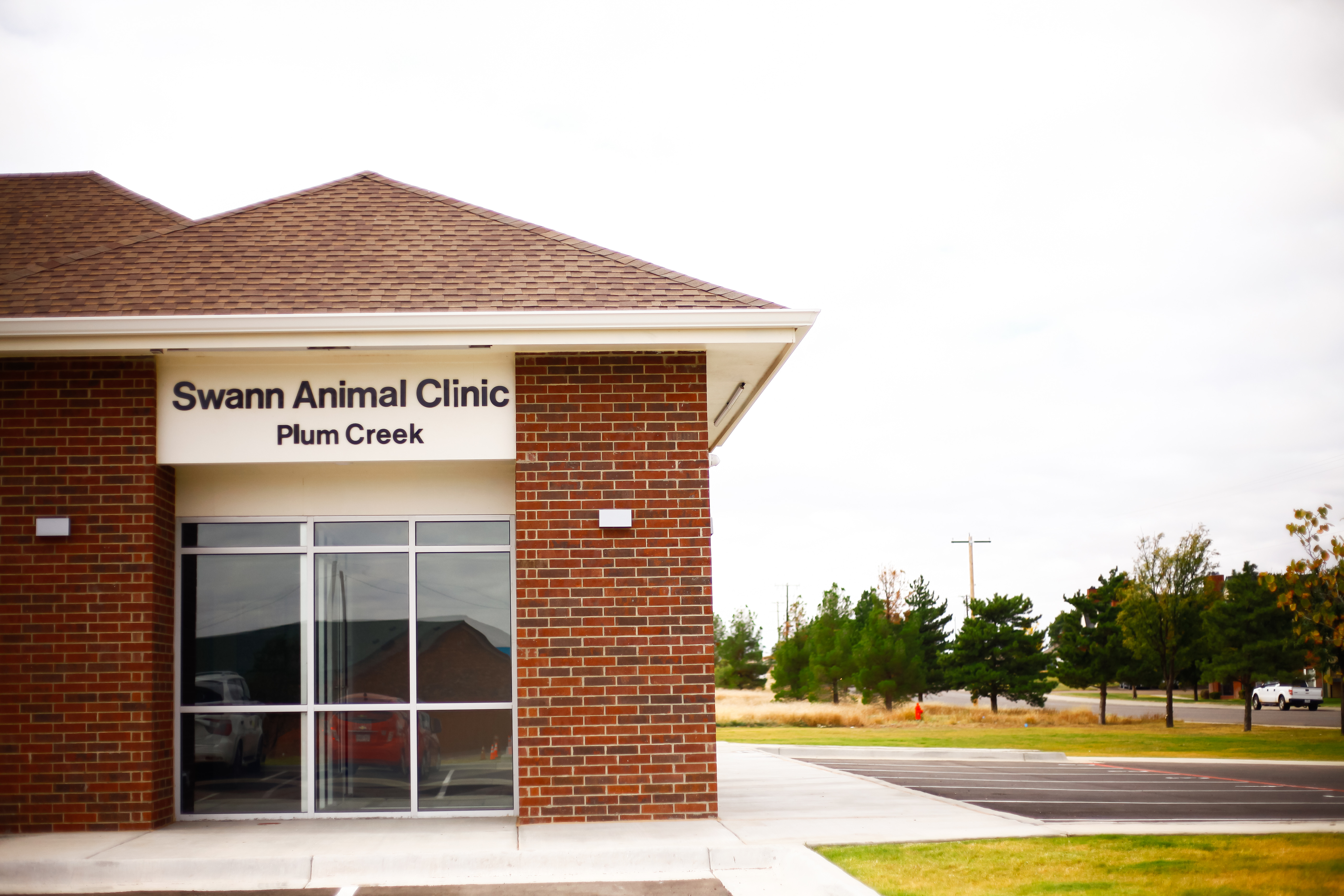 Swann Animal Clinic at Plum Creek - Amarillo , United States