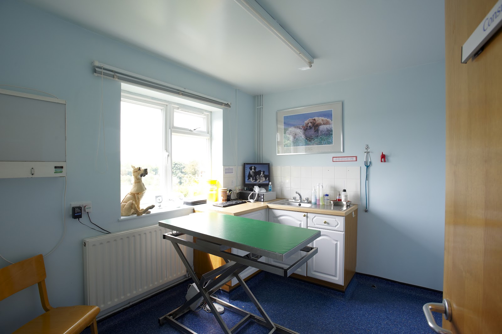 Thameswood Veterinary Clinics - Swindon , United Kingdom