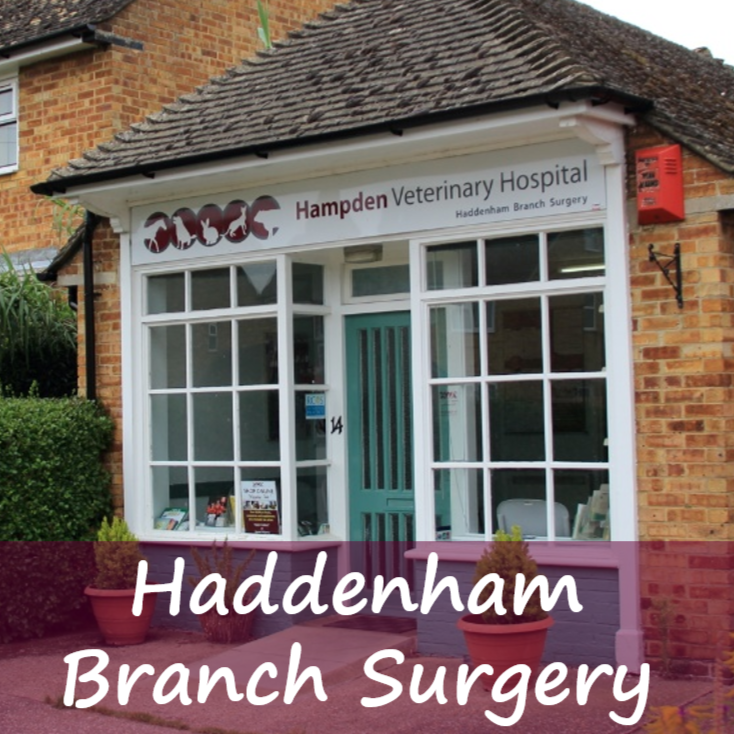 Hampden Vets Haddenham - Aylesbury , United Kingdom