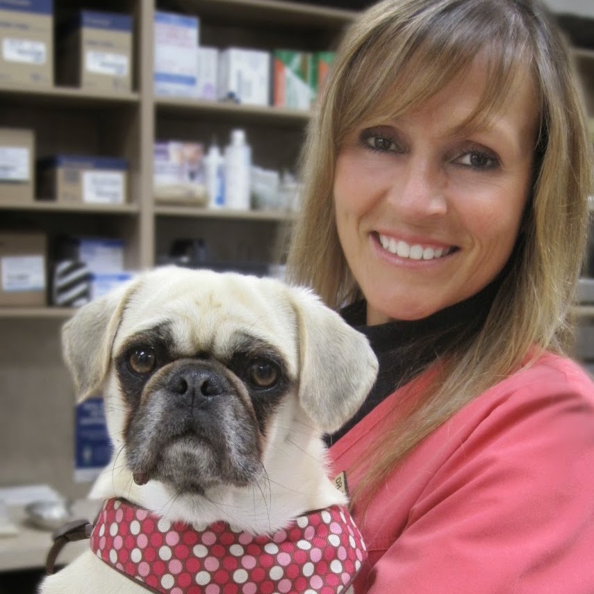 Amberlea Animal Hospital - Pickering , Canada