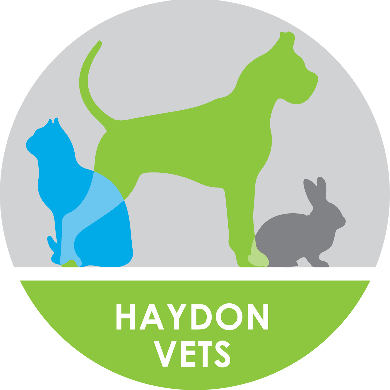 Haydon Vets - Bridport , United Kingdom