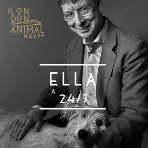 The London Animal Hospital - London , United Kingdom