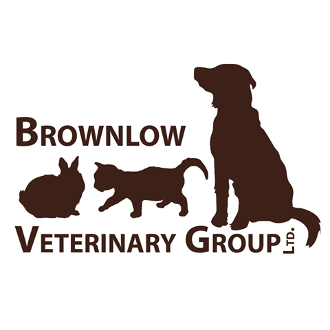 Brownlow Veterinary Centre - Ellesmere , United Kingdom