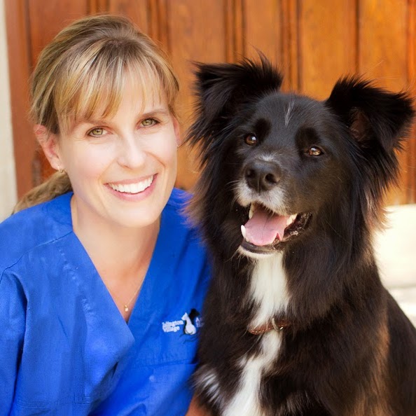 Islington Village Animal Hospital - CA , Canada