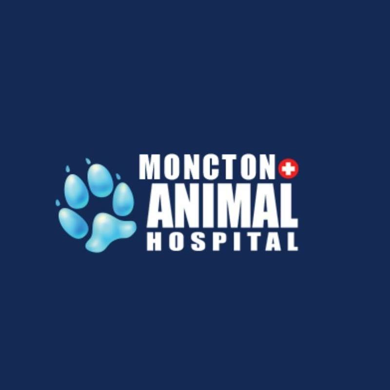 Moncton Animal Hospital - Moncton , Canada