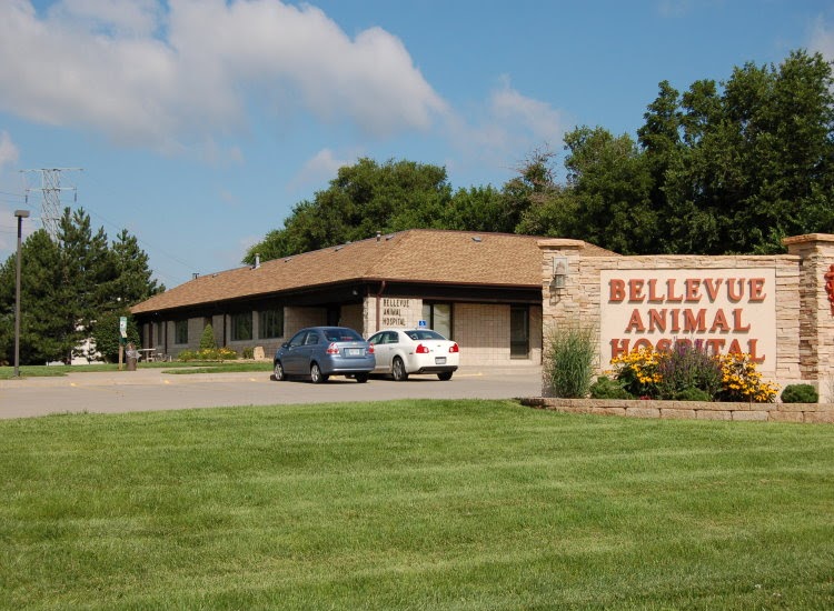 Bellevue Animal Hospital Pc - Bellevue , United States