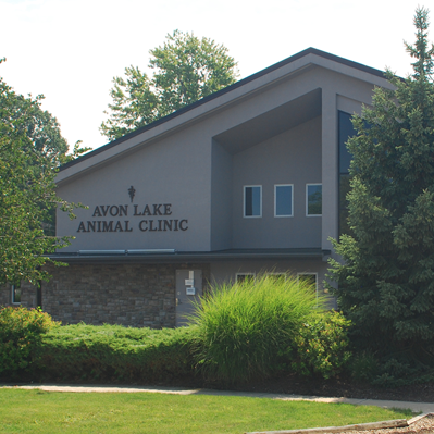 Avon Lake Animal Clinic - Avon Lake , United States