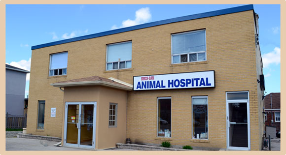 Birch Dan Animal Hospital - Scarborough , Canada