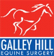 Galley Hill Equine Surgery - Waltham Abbey , United Kingdom