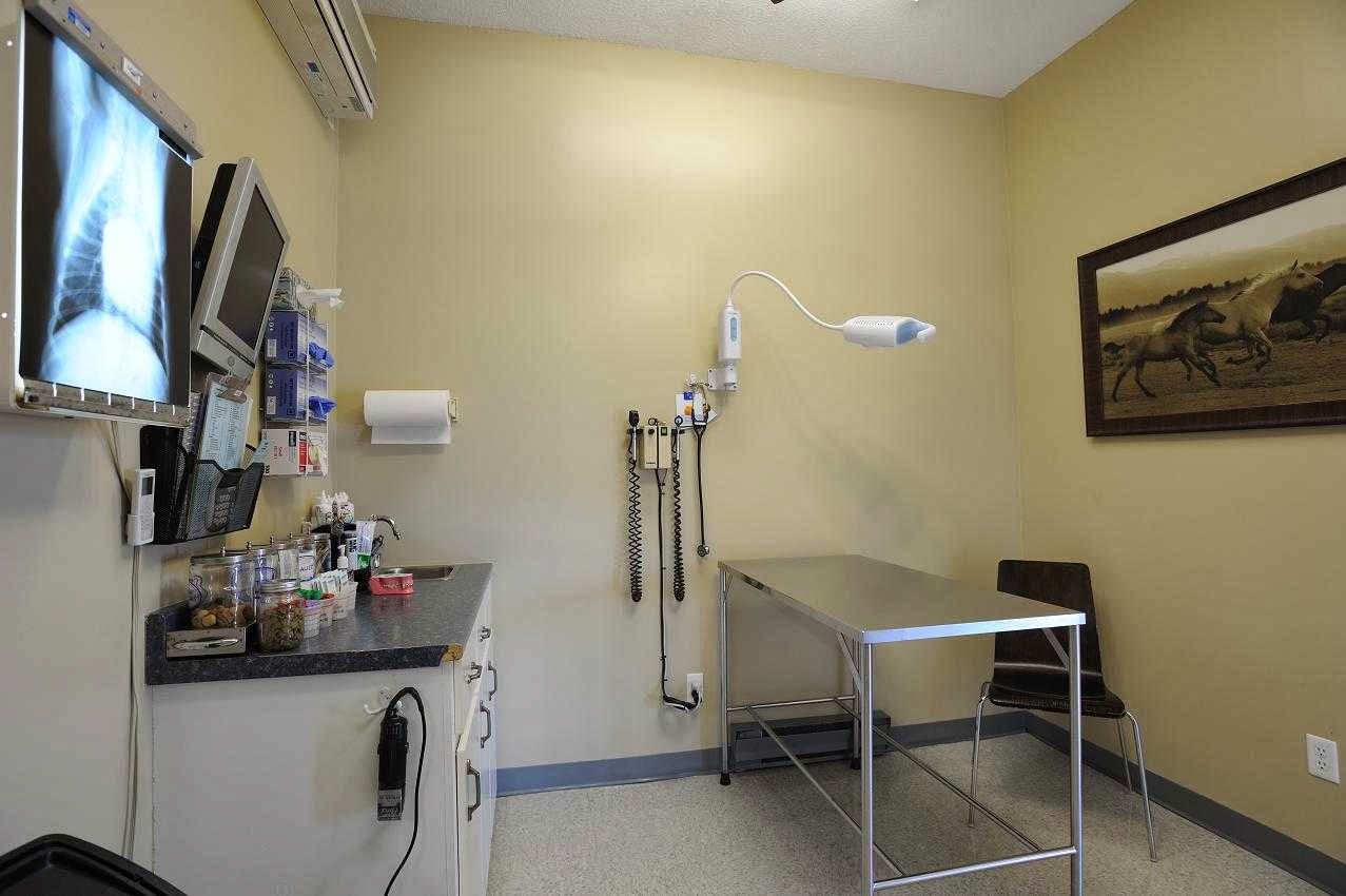 Springer Animal Hospital - Sturgeon Falls , Canada
