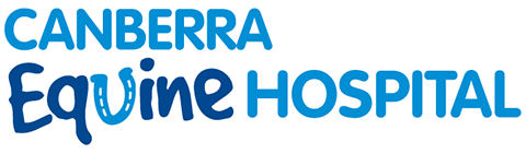 Canberra Equine Hospital - Lyneham , Australia