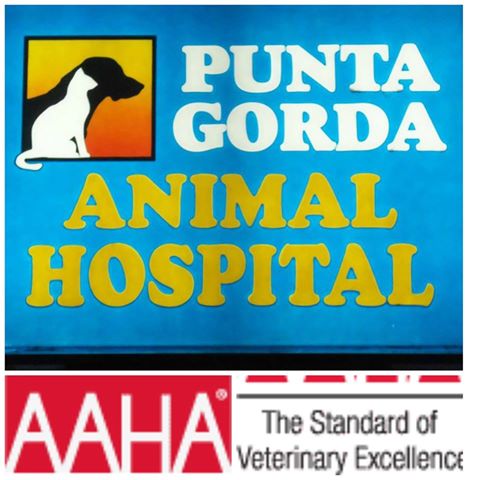 Punta Gorda Animal Hospital - Punta Gorda , United States