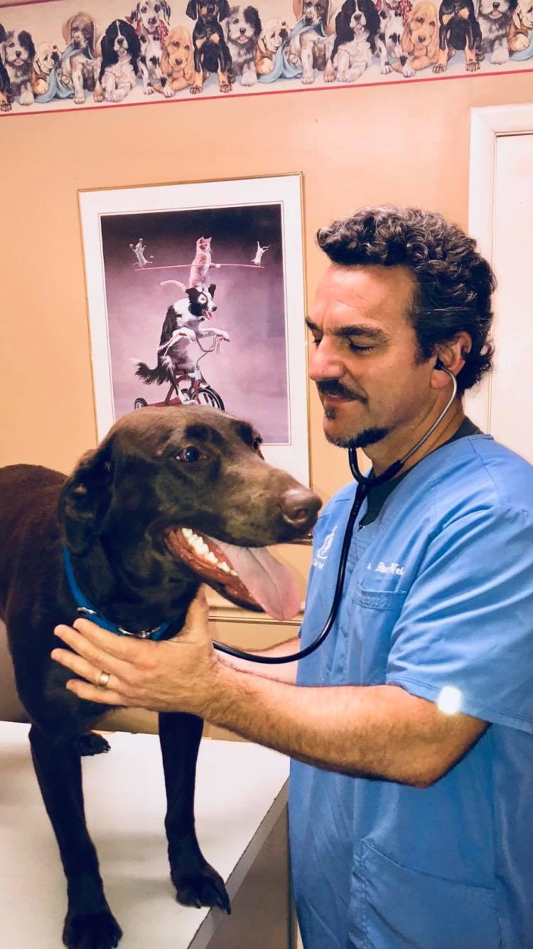 Eubanks Veterinary Clinic - North Little Rock , United States