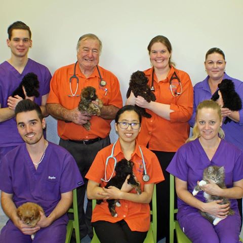 Mcgraths Hill Veterinary Centre - Vineyard , Australia