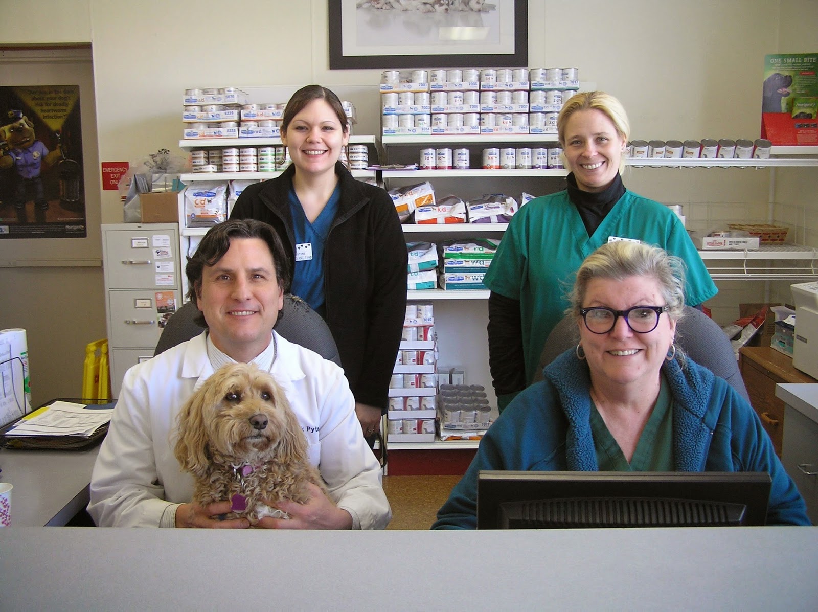 Meadowbrook Animal Clinic - Rochester , United States