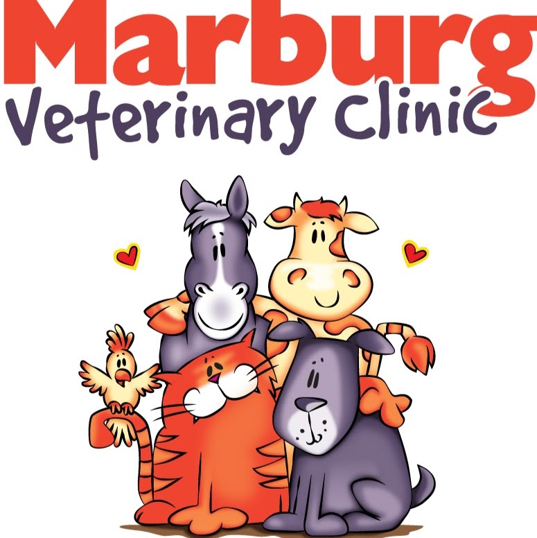 Marburg Veterinary Clinic - Marburg , Australia