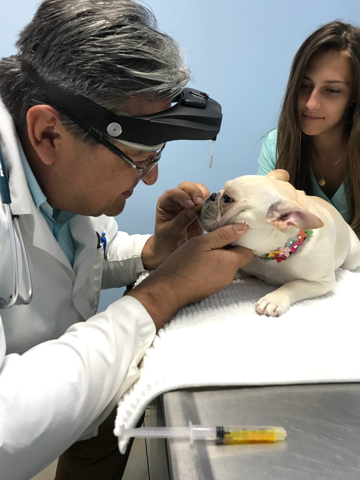 Mizner Park Veterinary Clinic - Boca Raton , United States