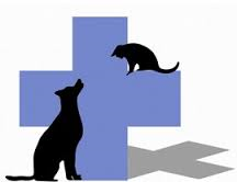 Mayfield Veterinary Hospital - Mayfield West , Australia