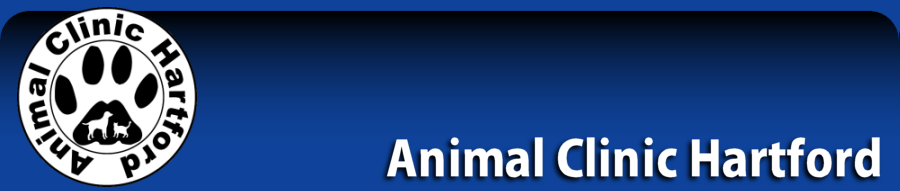 Animal Clinic Hartford - Hartford , United States