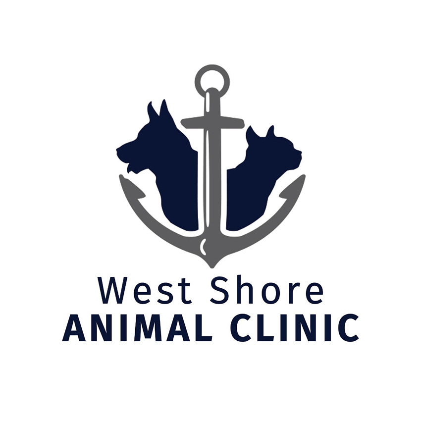 West Shore Animal Clinic - Warwick , United States