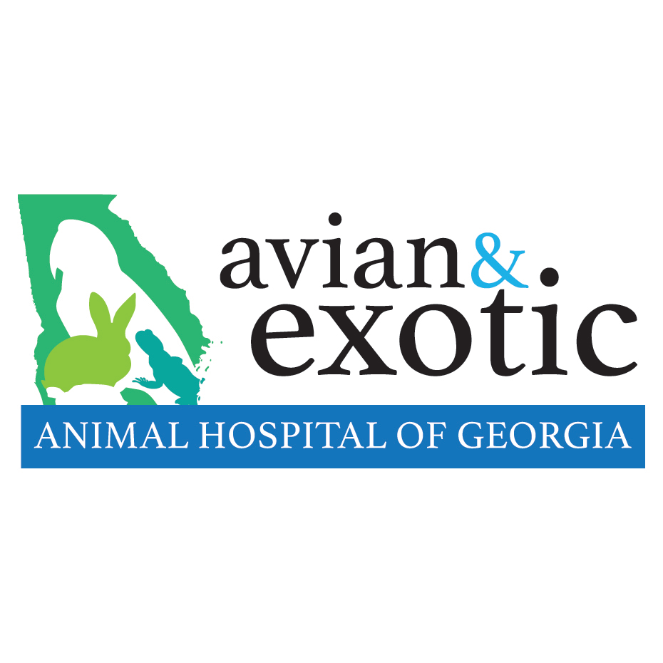 Avian And Exotic Animal Hospital Of Georgia - Pooler , United States