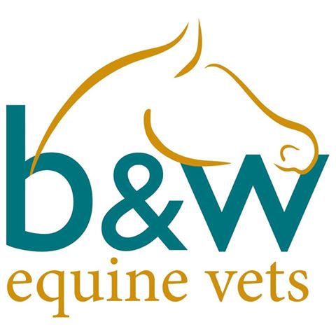 B And W Equine Vets Breadstone Hospital - Berkeley , United Kingdom