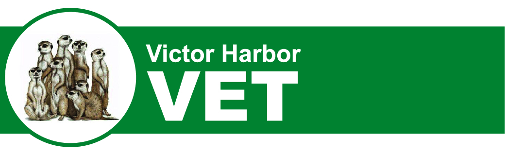 Victor Vet - Victor Harbor , Australia