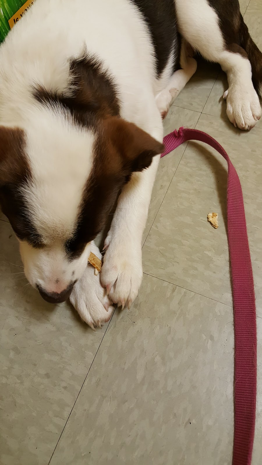 Happy Valley Animal Hospital - Verona , United States