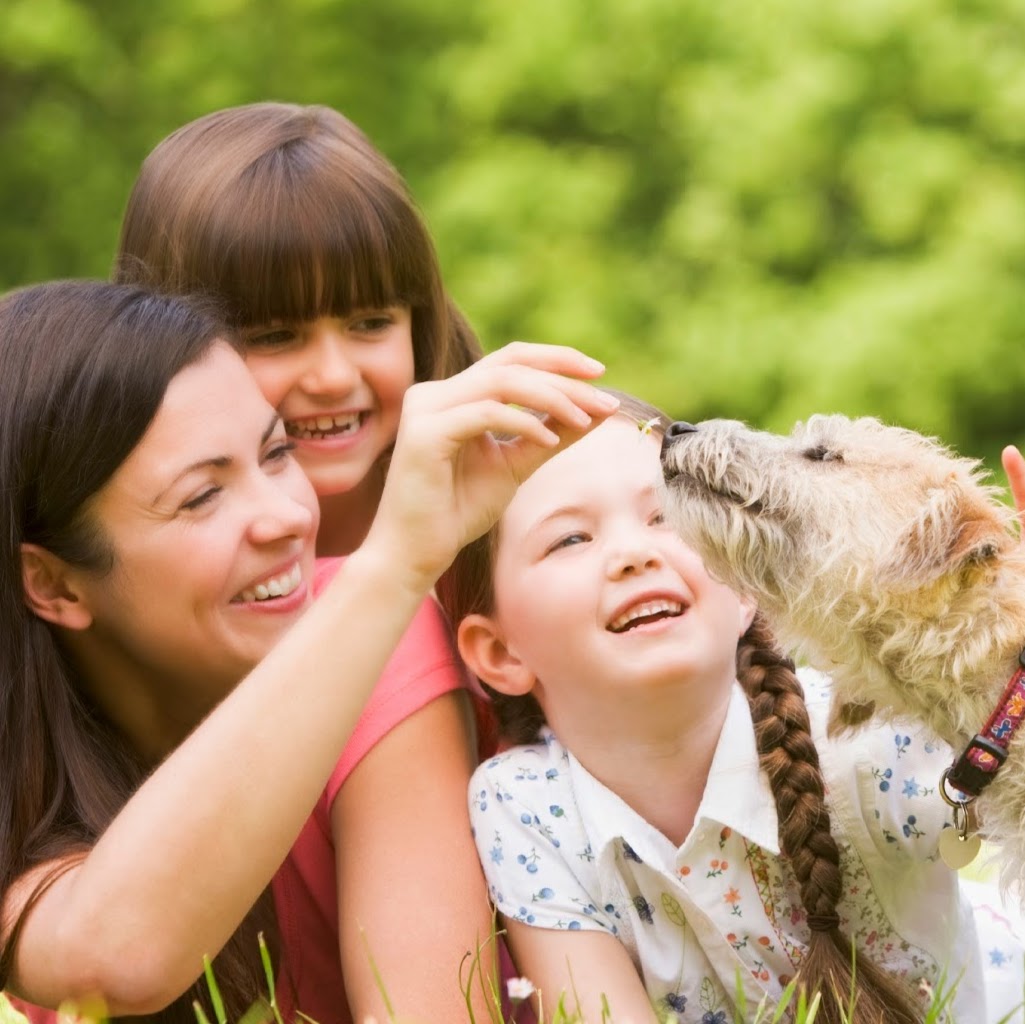 West Boca Veterinary Center - Boca Raton , United States