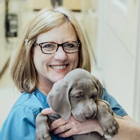 West Chester Veterinary Medical Center - West Chester , United States