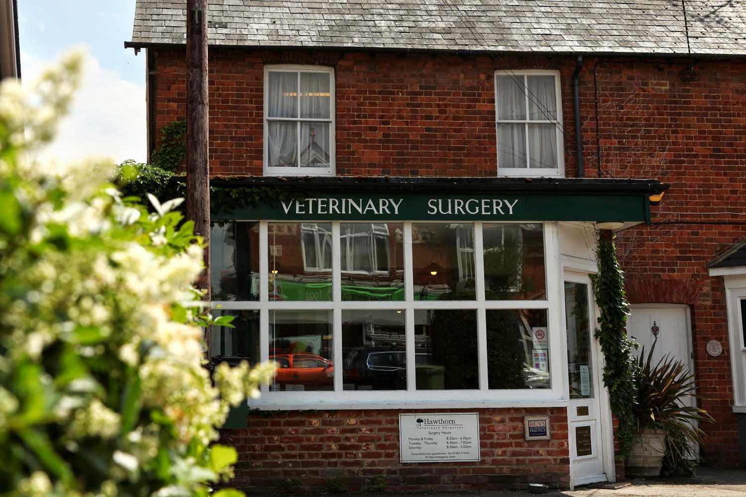 Hawthorn Veterinary Surgery - Horsham , United Kingdom