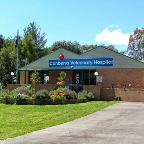 Canberra Veterinary Hospital - Lyneham , Australia