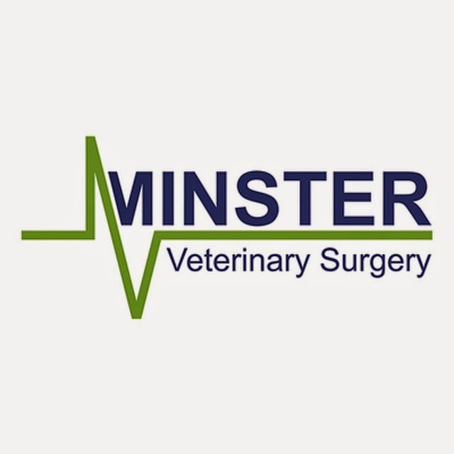 Minster Veterinary Surgery - Ilminster , United Kingdom