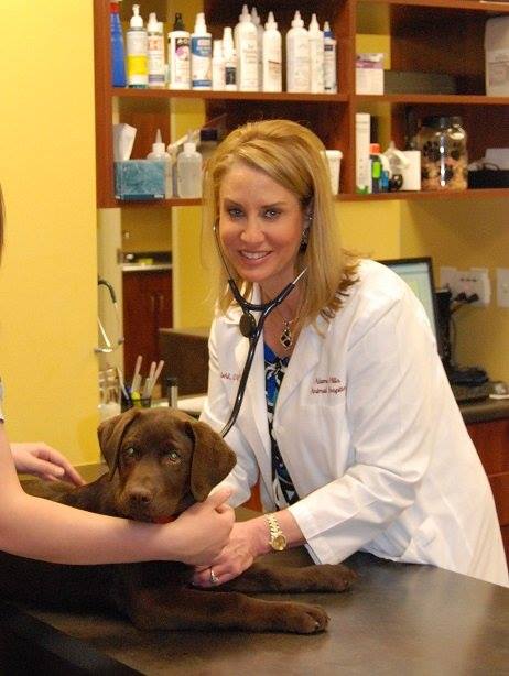 Alamo Hills Animal Hospital - San Antonio , United States