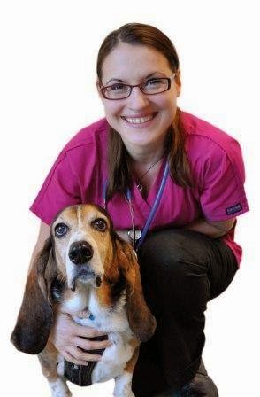 Vets For Pets Coventry Walsgrave - Coventry , United Kingdom