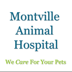 Montville Animal Hospital - Uncasville , United States
