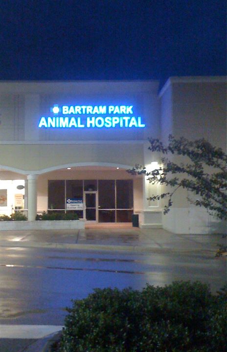 Bartram Park Animal Hospital - Jacksonville , United States