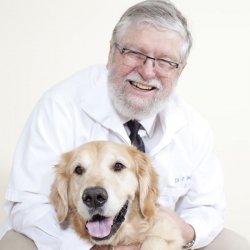 Cedar Pet Clinic - Lake Elmo , United States
