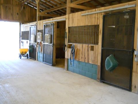 Equine Veterinary Services - Pulaski , United States