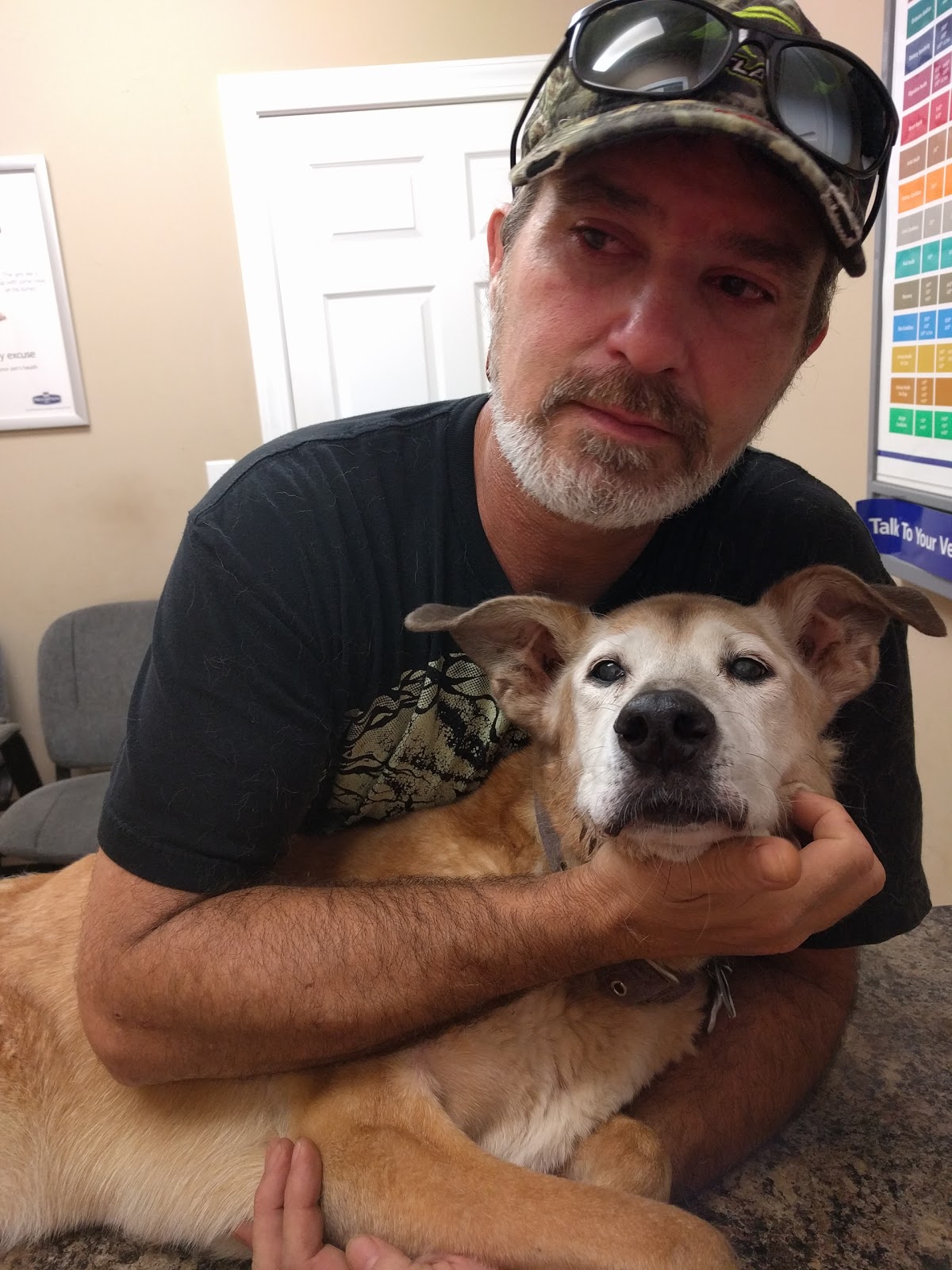 Randall Veterinary Hospital - Byram , United States