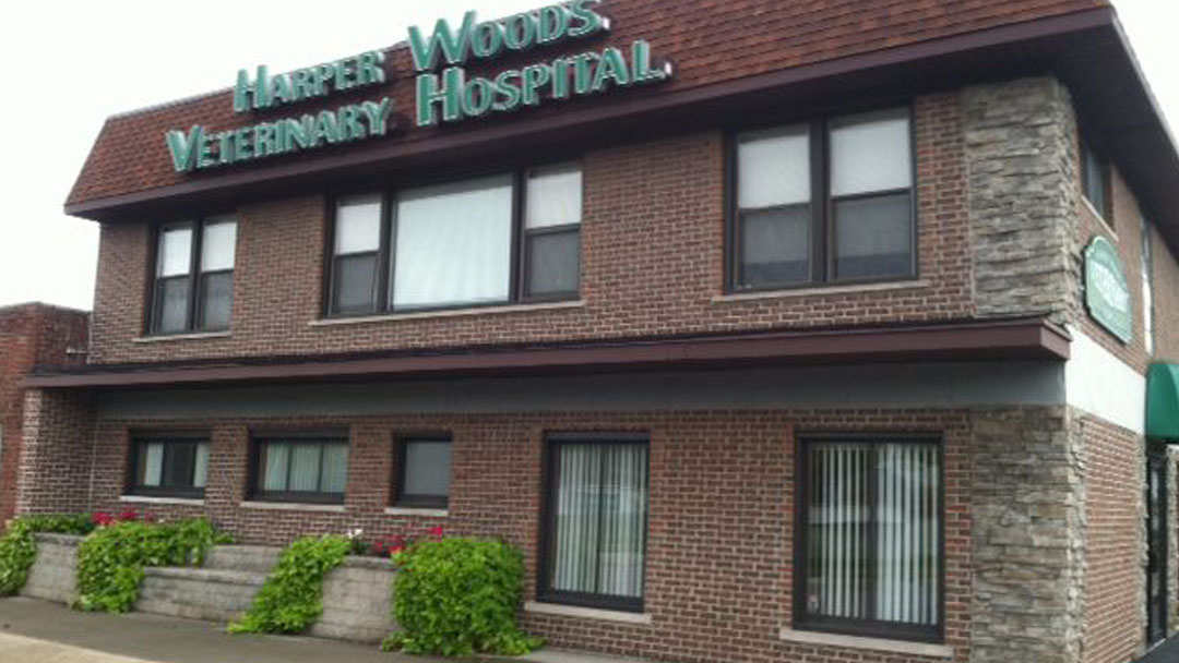 Harper Woods Veterinary Hospital - Harper Woods , United States