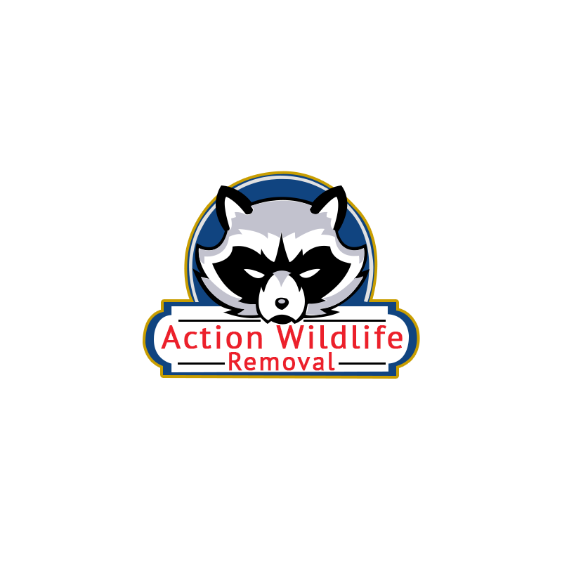 Action Wildlife Removal - Loretto , Canada
