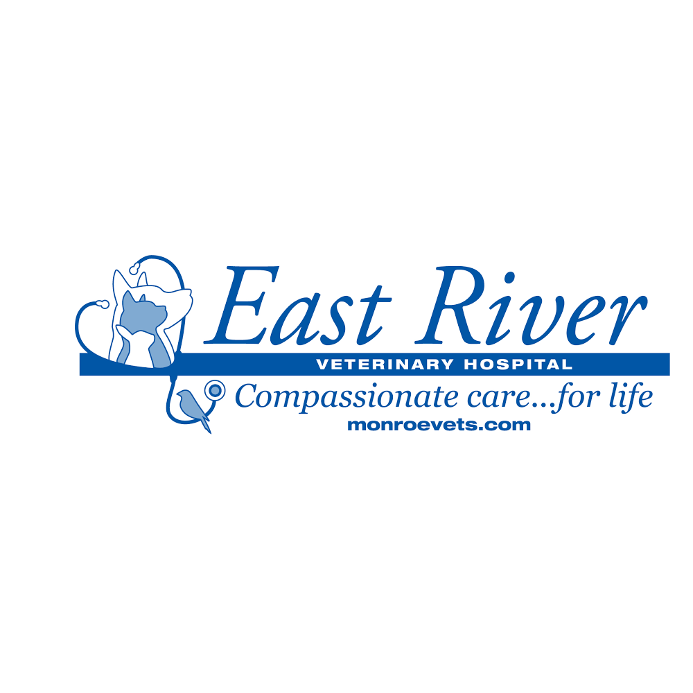 East River Veterinary Hospital - West Henrietta , United States