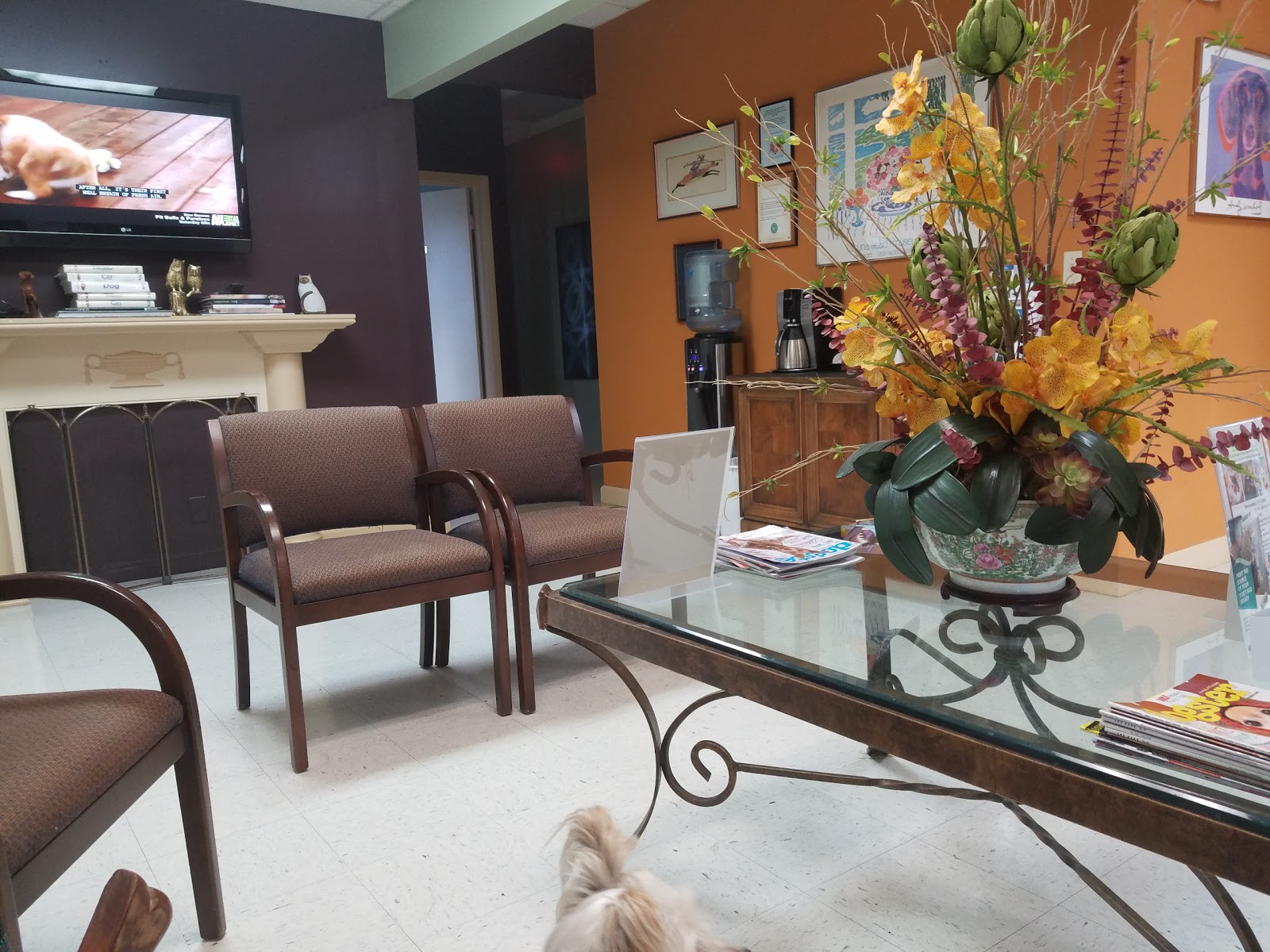 El Cid Animal Clinic - West Palm Beach , United States