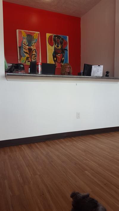 Business's Photo