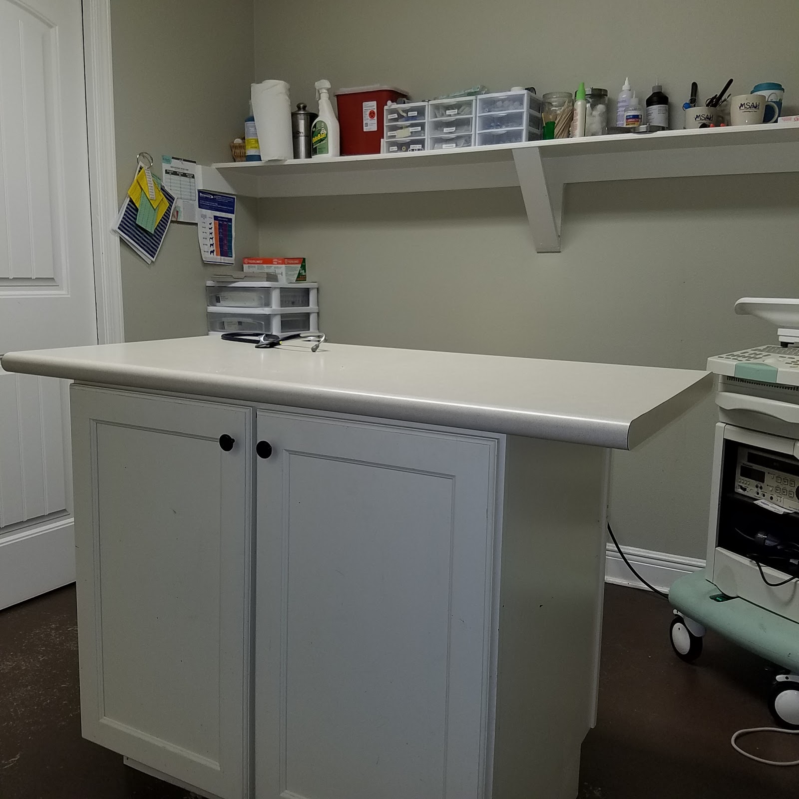 Metairie Small Animal Hospital Lakeview Clinic - New Orleans , United States