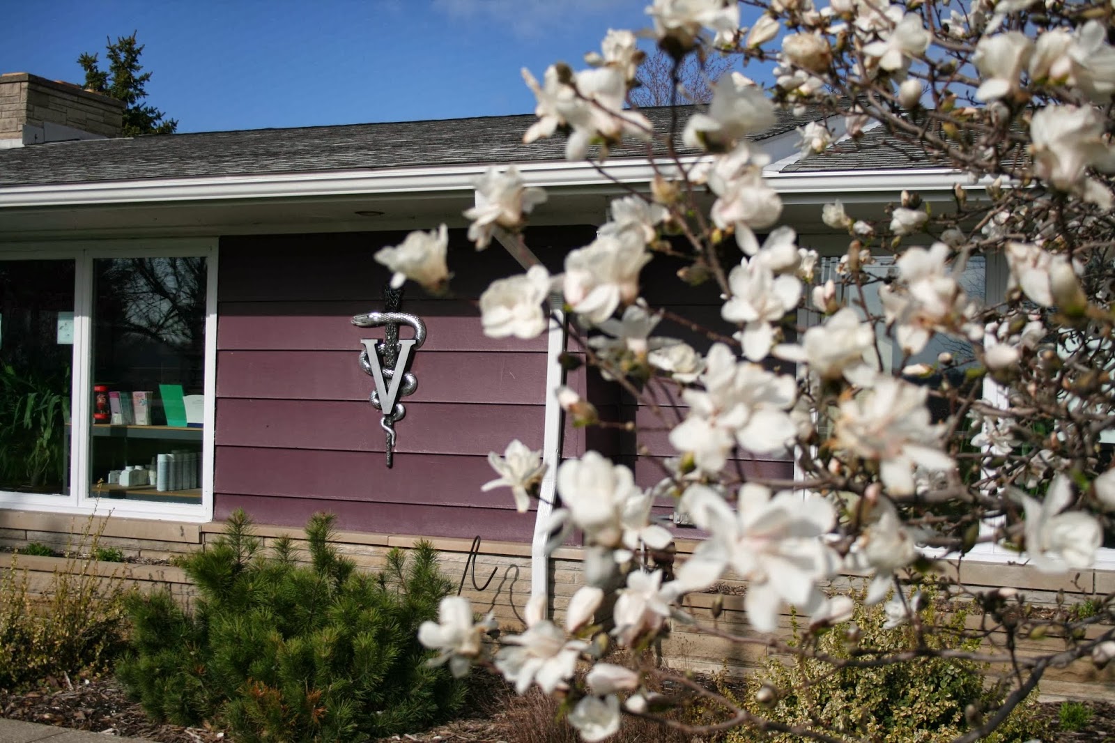 Oak Harbor Veterinary Hospital - Oak Harbor , United States